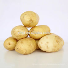 especificación orgánica fresca de las patatas dulces de China de patatas